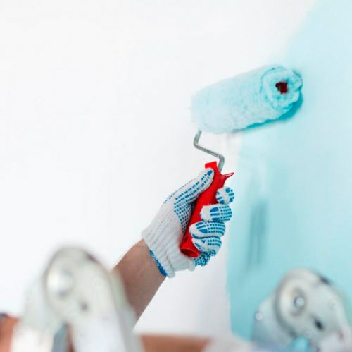Paints & Accessories